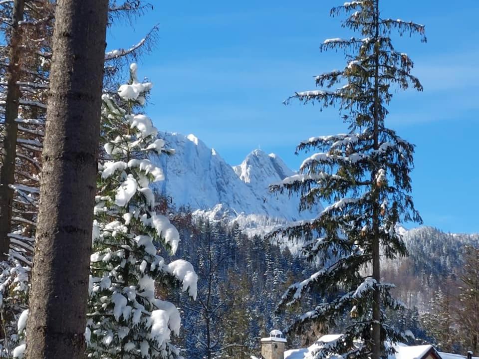 Dom Pod Skocznia Apartamento Zakopane Exterior foto