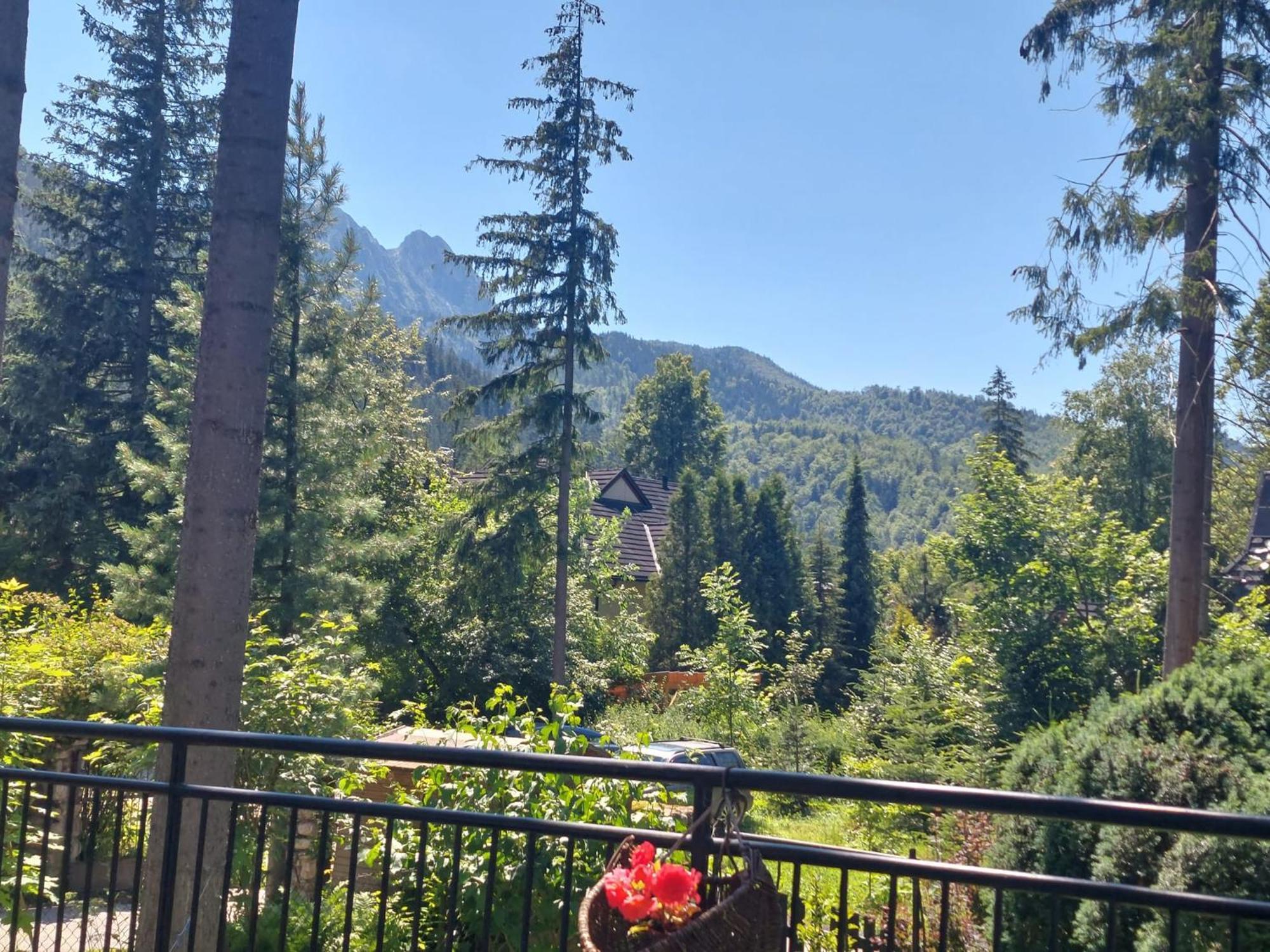 Dom Pod Skocznia Apartamento Zakopane Exterior foto