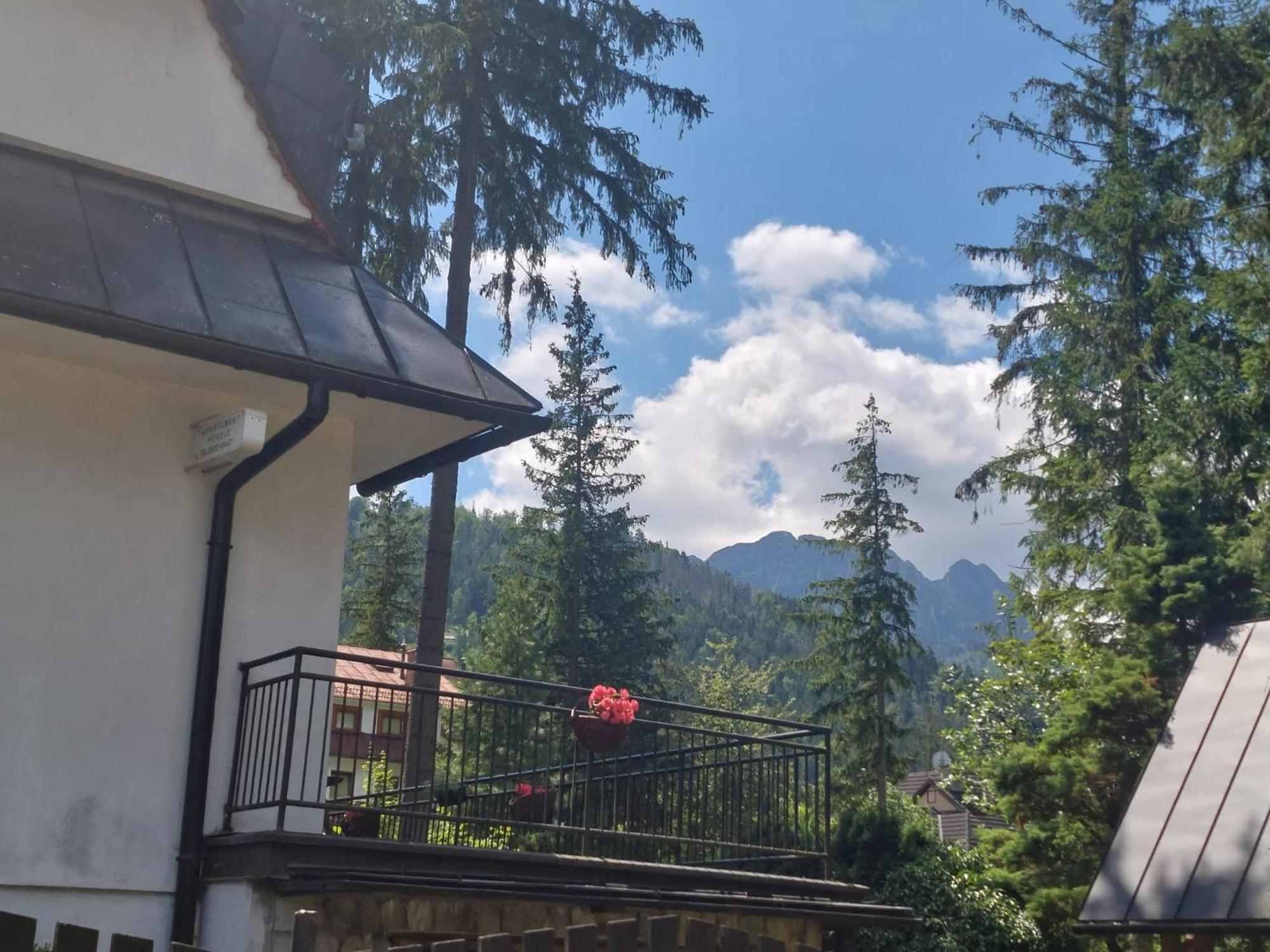 Dom Pod Skocznia Apartamento Zakopane Exterior foto