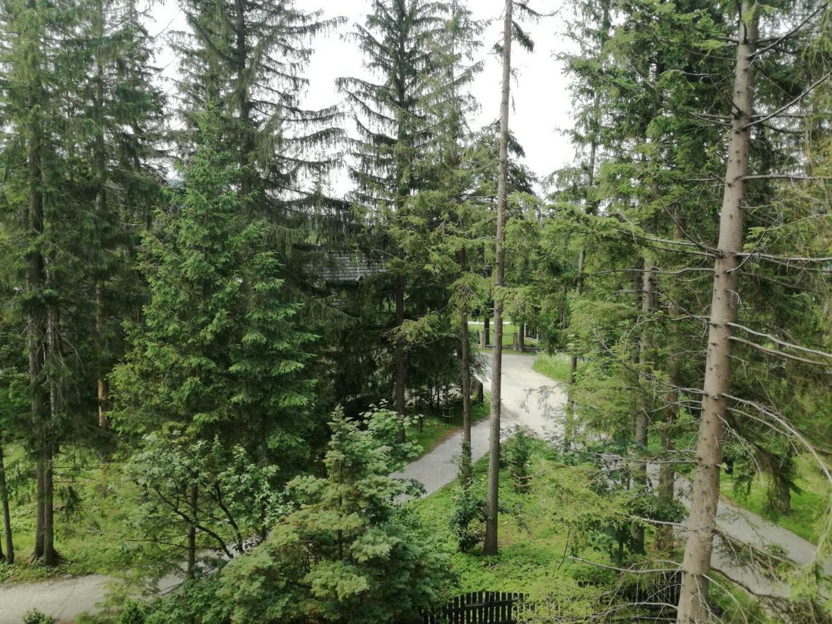 Dom Pod Skocznia Apartamento Zakopane Exterior foto