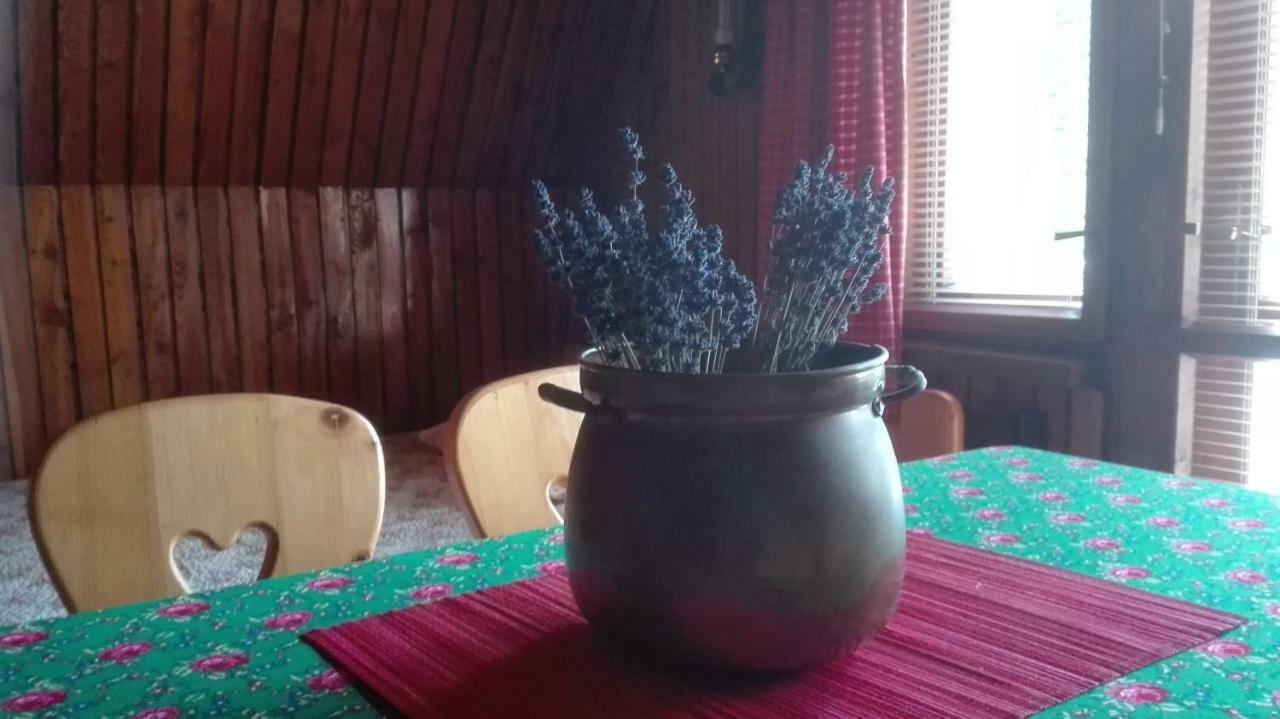Dom Pod Skocznia Apartamento Zakopane Exterior foto