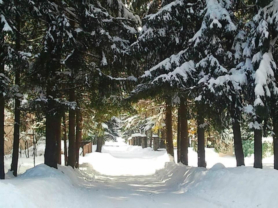 Dom Pod Skocznia Apartamento Zakopane Exterior foto